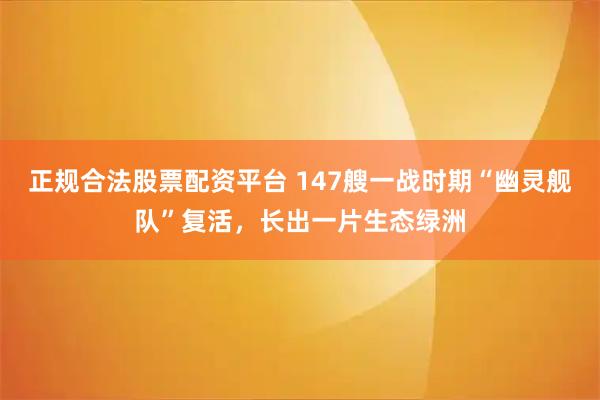 正规合法股票配资平台 147艘一战时期“幽灵舰队”复活，长出一片生态绿洲