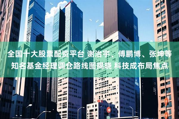 全国十大股票配资平台 谢治宇、傅鹏博、张坤等知名基金经理调仓路线图揭晓 科技成布局焦点